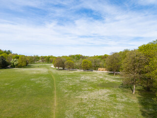 Aerial view from the drone of a green public park