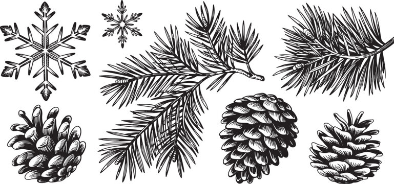 Elegant black and white Christmas design with pinecones and snowflakes