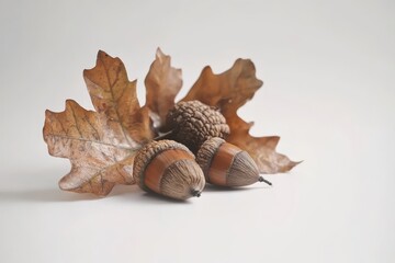 Community Spirit Unleashed: Participants in a Vibrant Charity Marathon Embracing Health and Unity