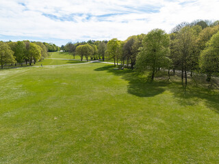 Aerial view from the drone of trees and green grass in the park