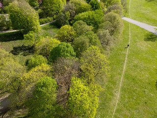 Aerial view from the drone of a man walking in the green city park