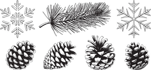 Detailed Christmas Winter Elements Hand Drawn Illustration for Seasonal Design