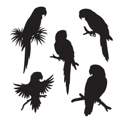 Parrot silhouettes vector