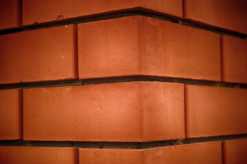 A red brick wall background. Close up.