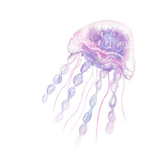 Watercolor jellyfish illustration with soft purple and blue tones