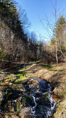 Tranquil forest stream with small waterfall in North Carolina under blue sky
