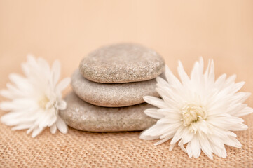 White flowers with pebbles on burlap. Decor and embellishments. Lifestyle.