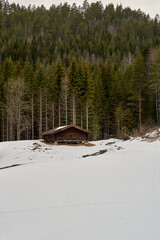  Antiquated Wooden Log Cabin Amidst Snowy Pine Forest, Krøderen, Norway