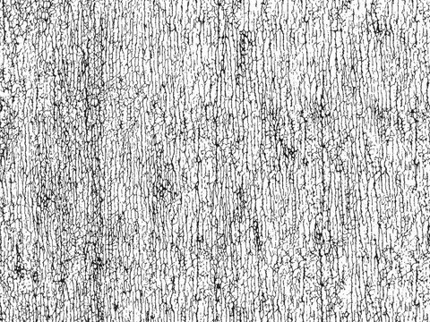 Distressed Plastisol Ink, Grunge Cracked Texture Overlay. For Retro T-shirt designs. Rough Dirty Worn Effect. Vintage Isolated Pattern.