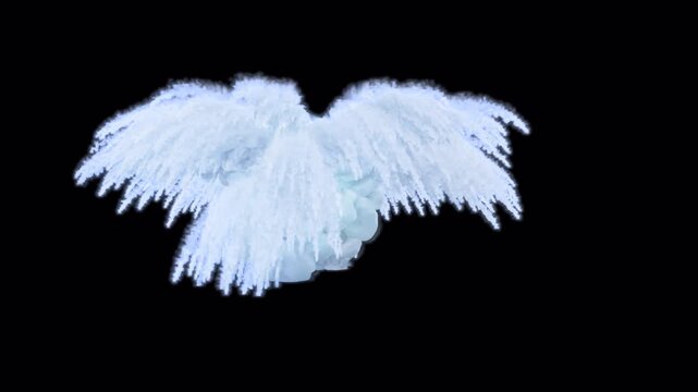 Water wings explosion on transparent background