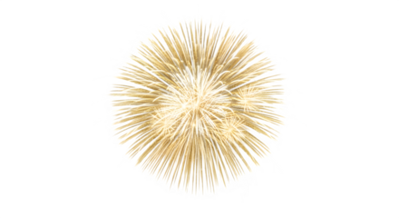 Golden firework isolated on transparent background is a beautiful and festive way to celebrate any special occasion, such as a birthday, anniversary, or holiday, and it is a great way to add