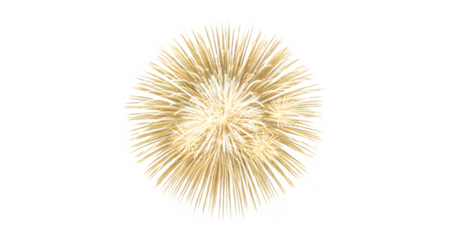 Golden firework isolated on transparent background is a beautiful and festive way to celebrate any special occasion, such as a birthday, anniversary, or holiday, and it is a great way to add
