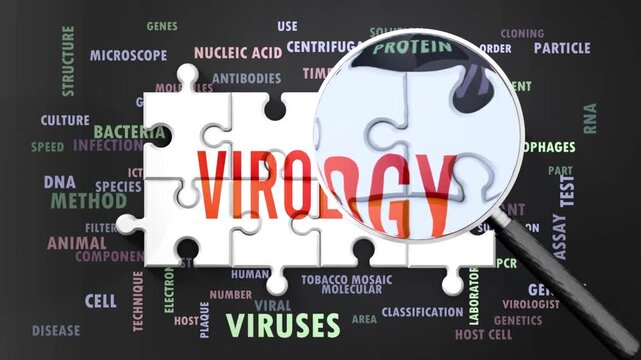 Virology under magnifying glass, being researched, studied and examined. Most important subjects and ideas closely related to virology presented as a word cloud. Complexity of virology. Can be looped.