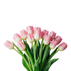 Fototapeta premium Beautiful bouquet of pink tulips isolated on transparent background in full bloom