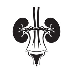 Human Kidney Anatomy Silhouette Icon – Medical Organ Vector for Healthcare, Anatomy Education, and Infographic Designs