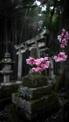 Pink Blossom Hanging from Misty Torii Gate