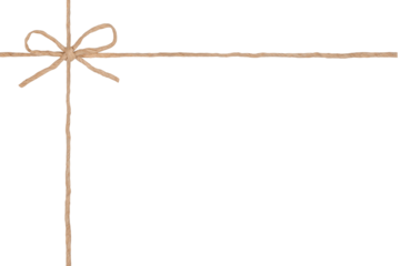 String Tied in Bow Isolated on White and Png Transparent Background