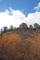 A large bush with golden leaves in it's glorious fall colors at the base of a hill with an interesting geological formatiion at the top.