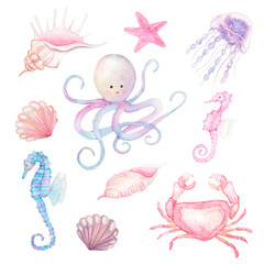 Watercolor sea animals composition with octopus and shells