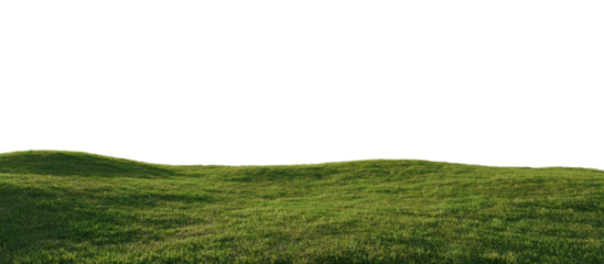 Hills with grass on a transparent background. 3D rendering.	
