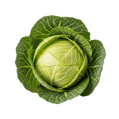 Fototapeta premium Fresh green cabbage, vibrant outer leaves, pale inner core, dewy texture, isolated on transparent background with copy space, top-down view, soft studio light. Concept of organic freshness and healthy