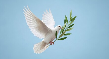 White Dove Flying with Green Olive Branch Symbolizing Peace and Reconciliation