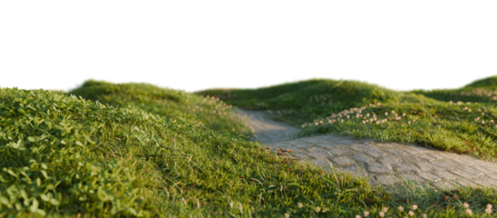 Winding stone path through grassy hills. 3D rendering.