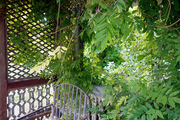 schattige Gartenlaube - shadowy gazebo