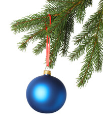 Blue Christmas ball hanging on fir tree branch isolated on white. Space for text