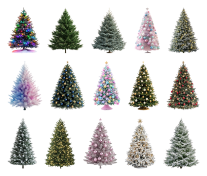 PNG Diverse festive Christmas trees collection, element set on transparent background - Powered by Adobe