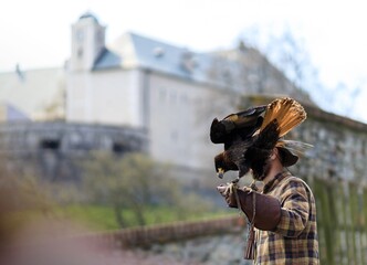 Traditional Slovak falconry which is often part of the educational program under beautiful Slovak castles