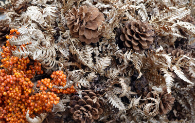 Herbstliches Arrangement mit Trockenpflanzen in Naturfarben - autumnal arrangement of dried plants in natural colours