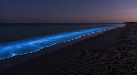 Bioluminescent waves glowing on a dark beach at night natural phenomenon creating a magical and surreal scene