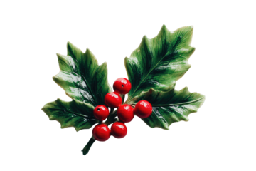 Close-up of a stylized holly sprig brooch