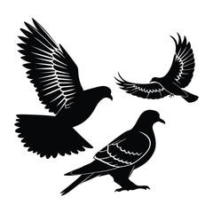 Obraz premium Abstract geometric shape with vibrant color accents isolated on white background