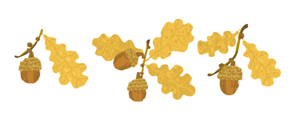 Set of acorns and yellow leaves on a white background