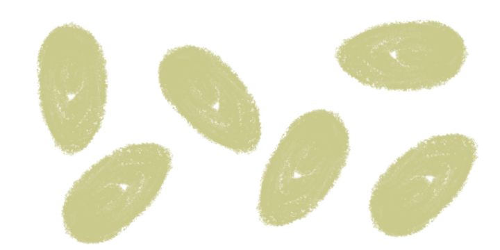 Olive Pastel Brush Strokes Artistic Background Texture Design Hand Drawn Grunge Illustration on transparent background - Powered by Adobe