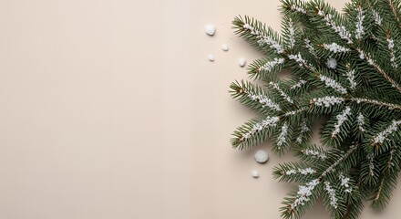 Elegant evergreen branches dusted with snow create a festive holiday background
