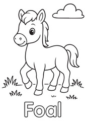 Coloring book foal standing in a grassy field, ideal for children's coloring practice.