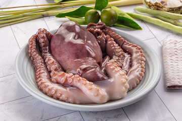 Gourmet luxury raw wild octopus