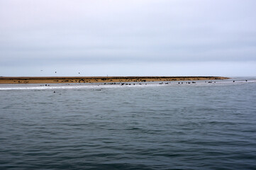 croisière sur l'océan atlantique a Swakopmund, Namibie
