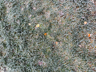 Detailed Frost Covered Grass Texture &ndash; Frozen Winter Ground with Ice Crystals and Natural Cold Surface Pattern