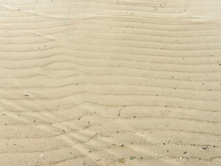 Minimal Close-Up of Smooth Beach Sand with Natural Horizontal Ripple Patterns and Soft Shoreline Texture
