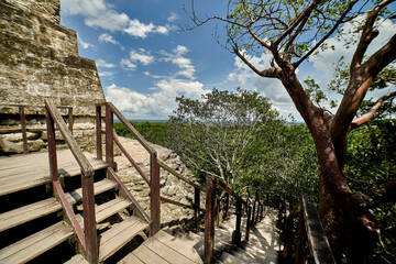 Tikal, Peten Gautemala, Antigua ciudad Maya  © Cabramedia