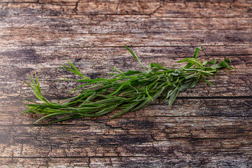 Fresh green tarragon aromatic herb