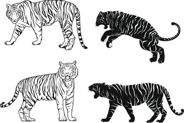 vector illustration of a cartoon tiger