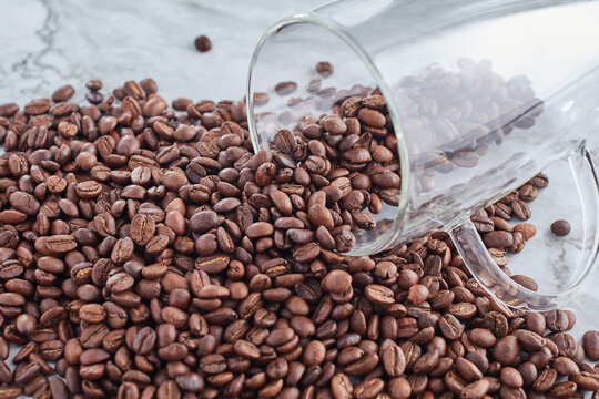 Roasted Jamaican Blue Mountain coffee beans coming out of an acrylic coffee mug