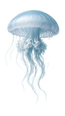 Naklejka premium Translucent jellyfish with flowing tentacles.