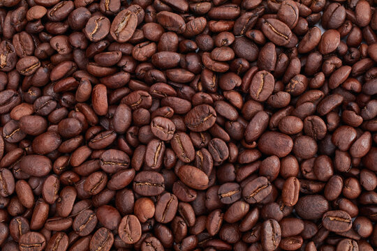 Roasted Jamaican Blue Mountain coffee beans