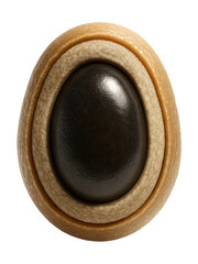 Dense core bacterial spore with a protective multilayer coating.